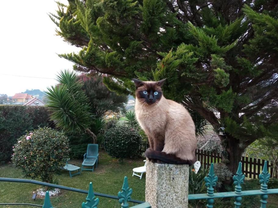 فيلا Casa Covelino بويو المظهر الخارجي الصورة